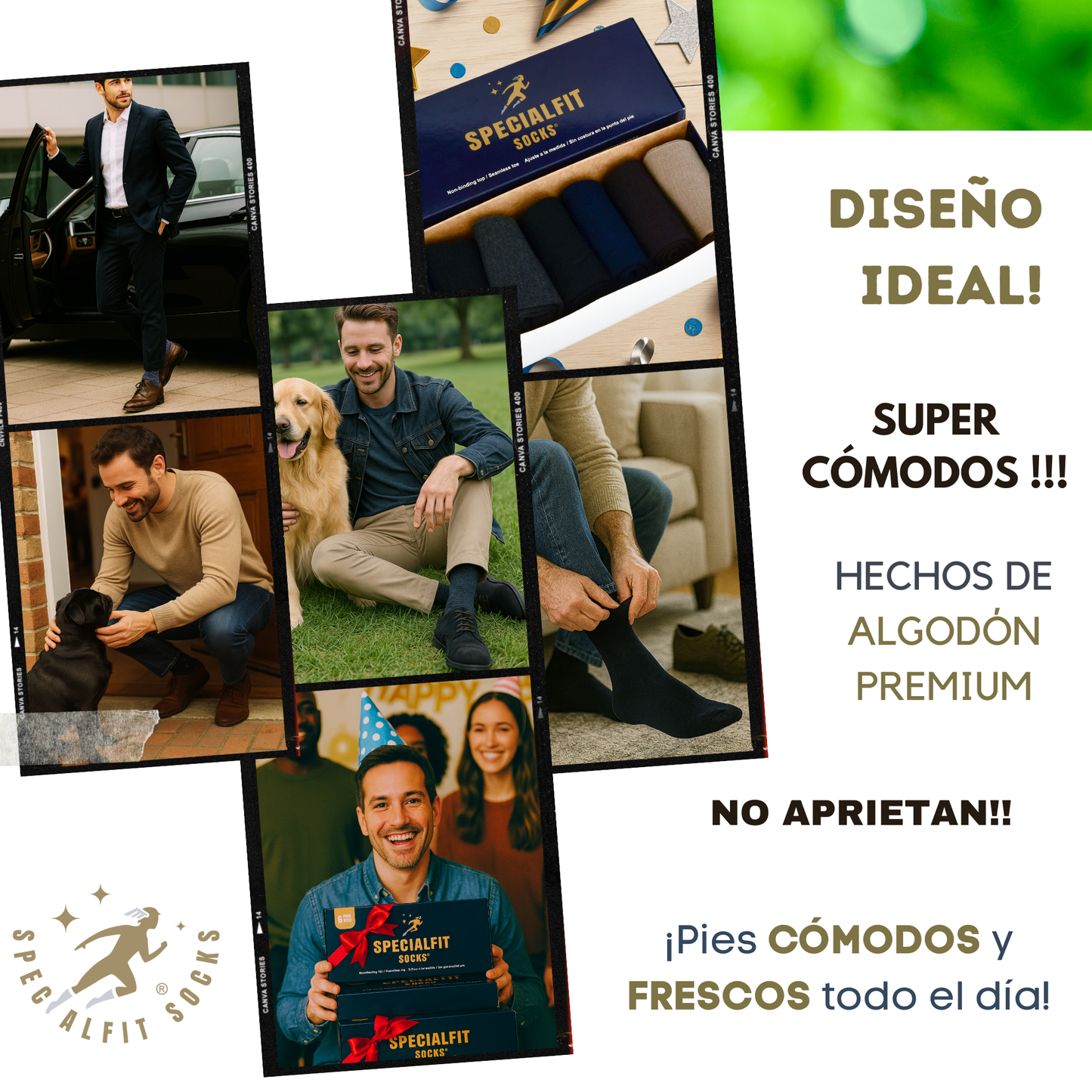 Vestir surtido elegante